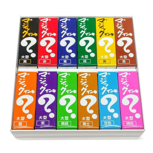 Magic Ink Permanent Marker 12 Set
